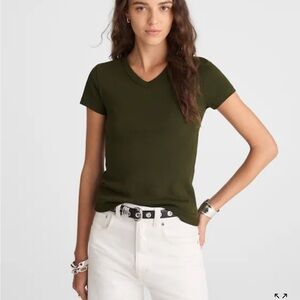 NWT V-Neck Baby Tee in Compact Cotton - bronzed avocado medium